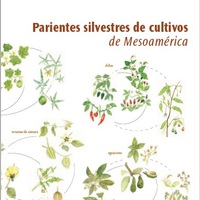 parientes silvestres de cultivos de mesoamerica 2019